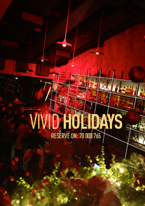 Vivid Holidays