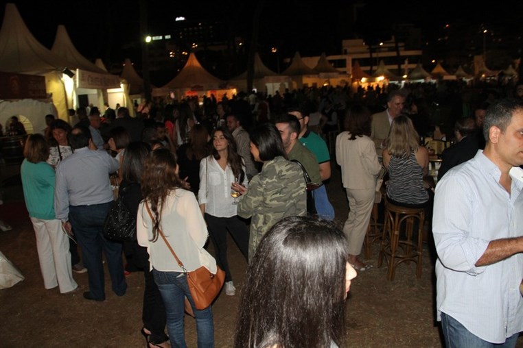 ViniFest 2013 