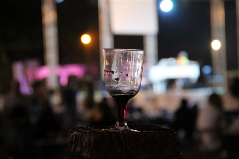 ViniFest 2013 