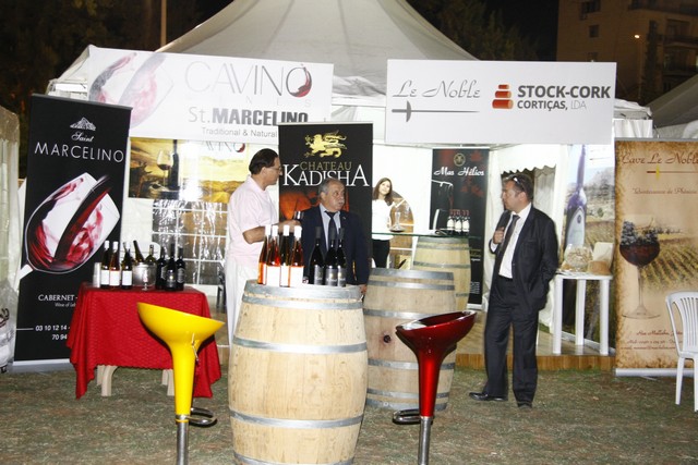 ViniFest 2013 Opening