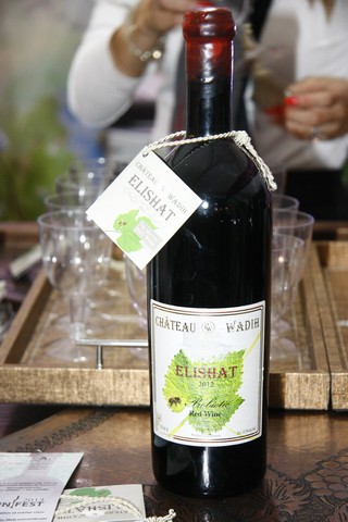 ViniFest 2013 Opening