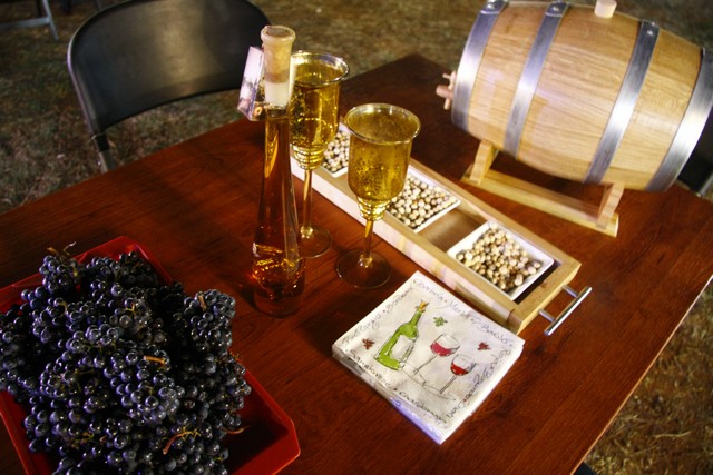 ViniFest 2013 Opening