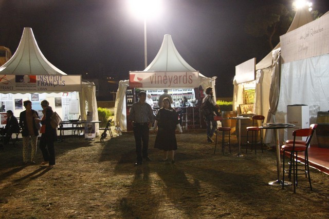 ViniFest 2013 Opening
