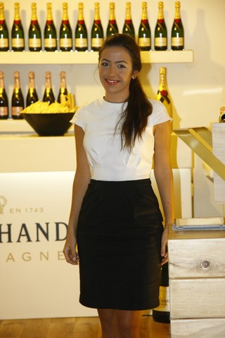 ViniFest 2013 Opening