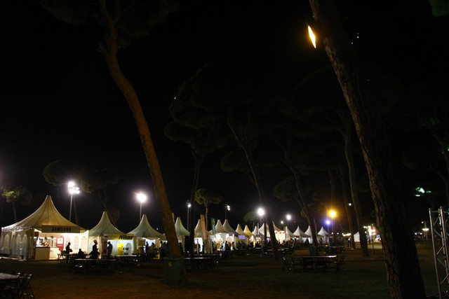 ViniFest 2013 Opening
