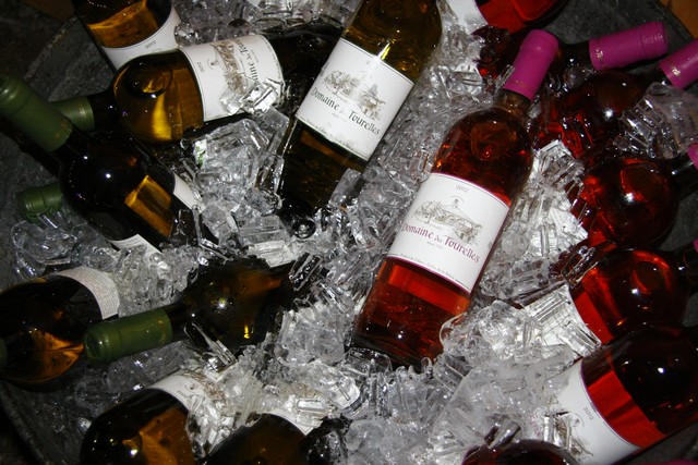 ViniFest 2013 Opening