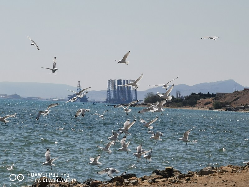 Amazing pictures from our Trip to Baku Azerbaijan-Land of Fire