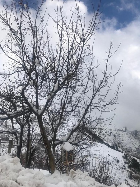 White Cedar Hotel during Winter