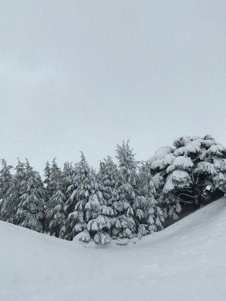 White Cedar Hotel during Winter