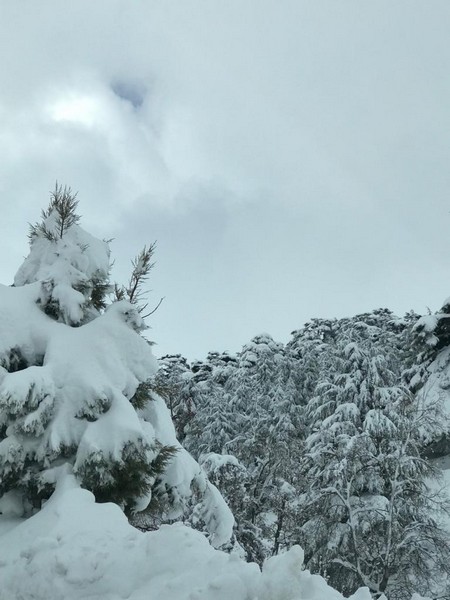 White Cedar Hotel during Winter