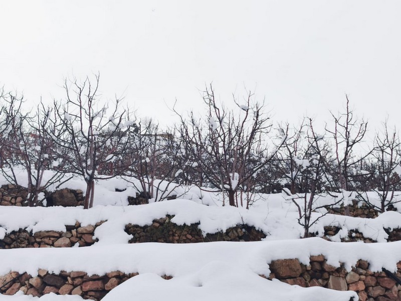 White Cedar Hotel during Winter