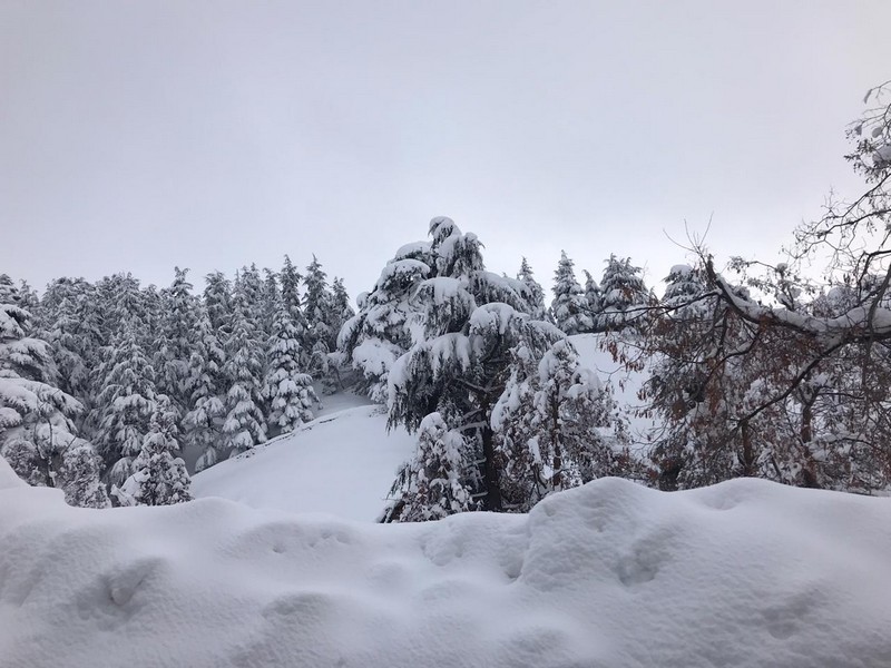 White Cedar Hotel during Winter