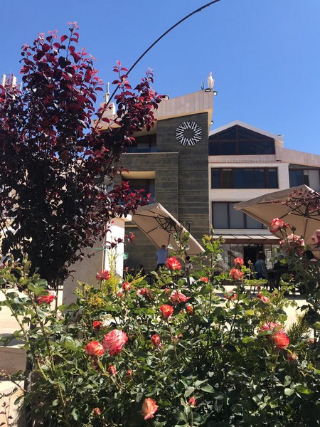 White Cedar Hotel: Where Every Stay is Unique