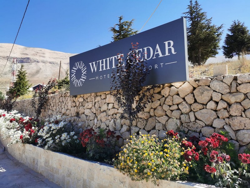 White Cedar Hotel: Where Every Stay is Unique