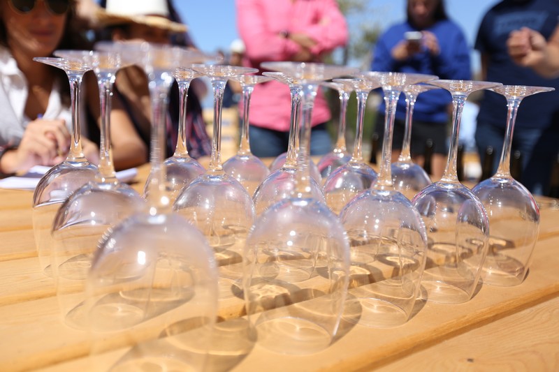 209 Lebanese Wine Tour