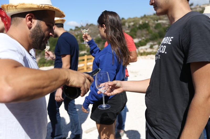 209 Lebanese Wine Tour