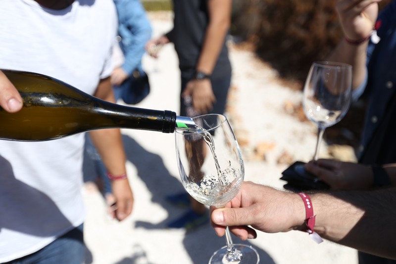209 Lebanese Wine Tour