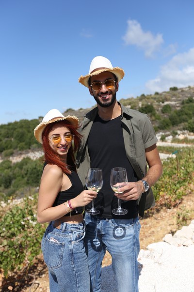209 Lebanese Wine Tour