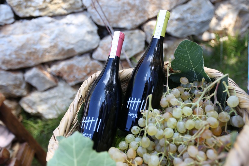 209 Lebanese Wine Tour