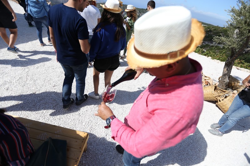 209 Lebanese Wine Tour