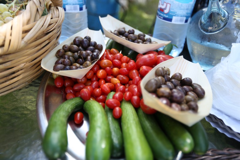 209 Lebanese Wine Tour