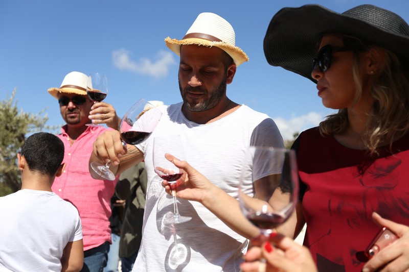 209 Lebanese Wine Tour