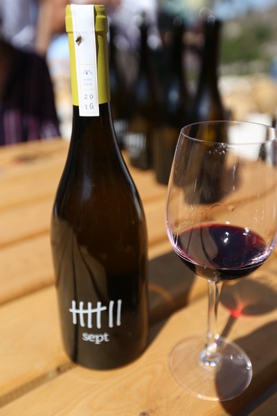 209 Lebanese Wine Tour