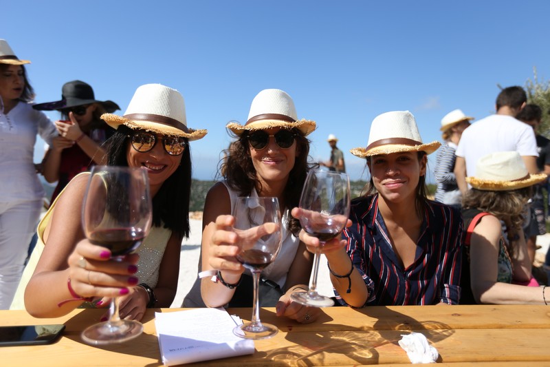 209 Lebanese Wine Tour