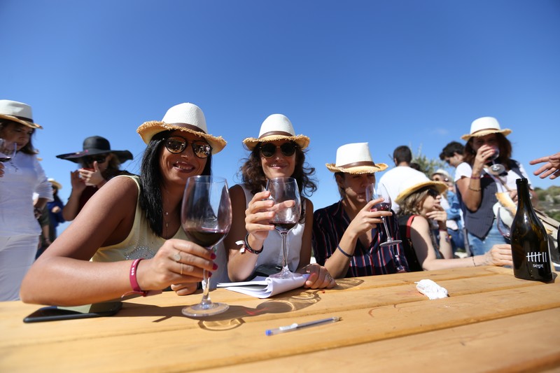 209 Lebanese Wine Tour
