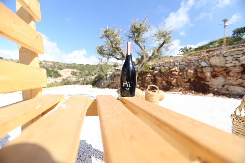 209 Lebanese Wine Tour