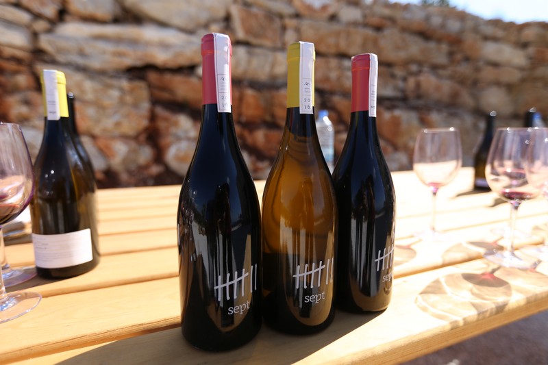209 Lebanese Wine Tour
