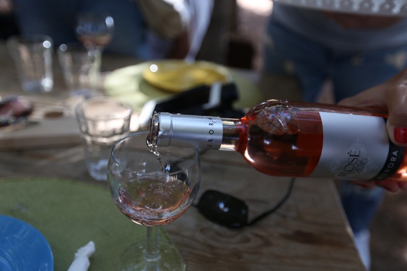 209 Lebanese Wine Tour