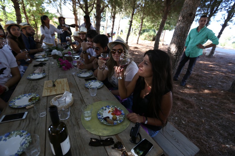 209 Lebanese Wine Tour