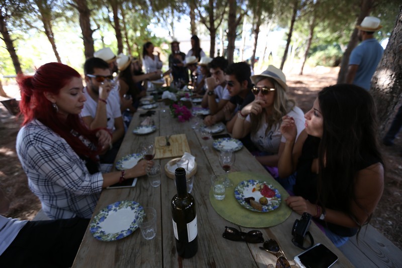 209 Lebanese Wine Tour