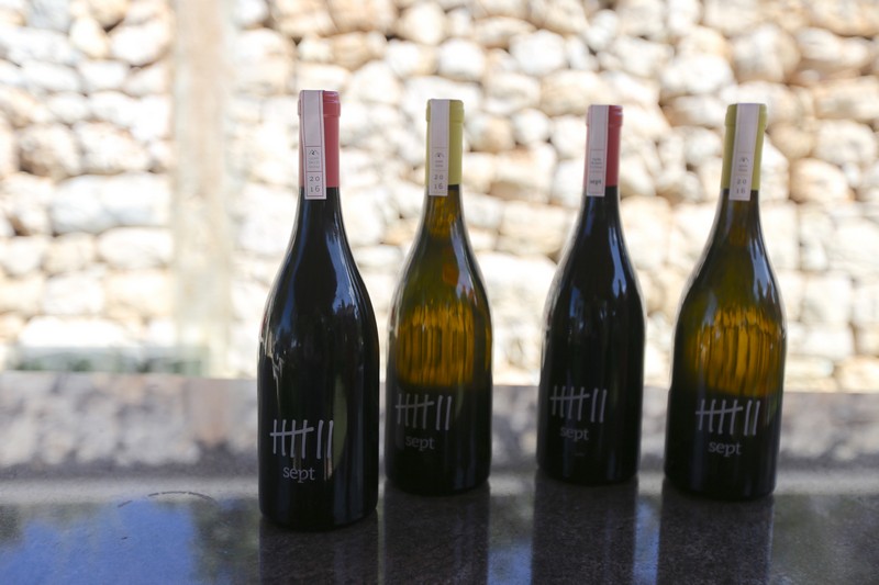 209 Lebanese Wine Tour