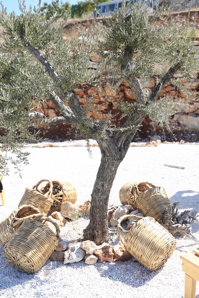 209 Lebanese Wine Tour