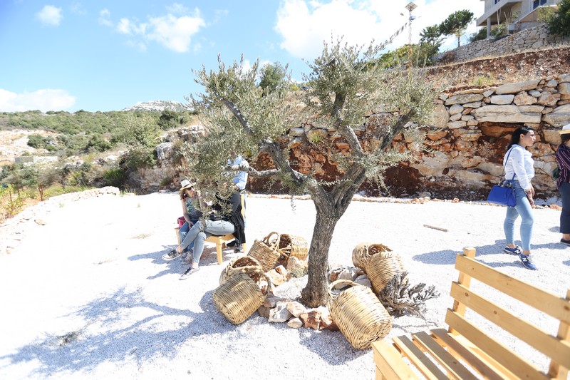 209 Lebanese Wine Tour