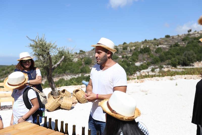 209 Lebanese Wine Tour