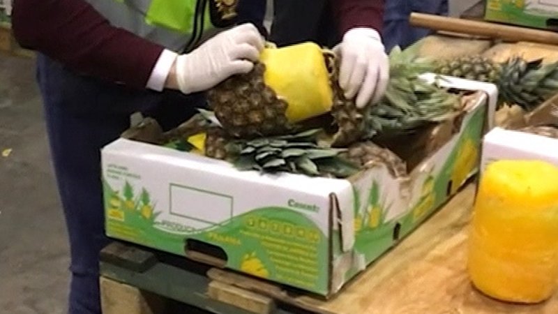 Hundreds of kilograms of cocaine found in pineapples