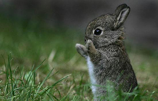 Thirty Photos That Will Make You Say Awww