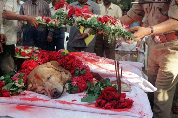 10 Powerful Photos that Speak Louder Than Words
