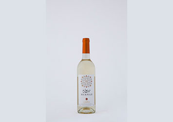 Chateau Ksara launches its first Merwah varietal