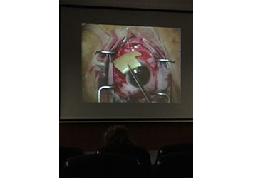 Live surgery at CMC