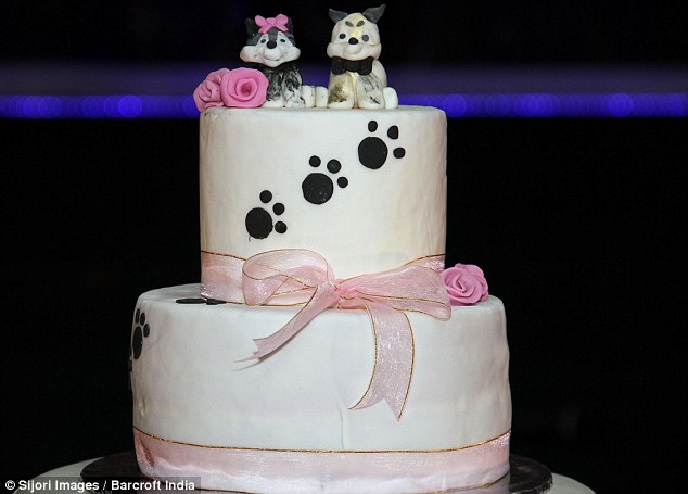 Two dogs are MARRIED in front of 100 guests at ceremony in Indonesia  