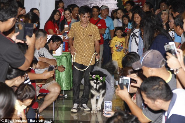 Two dogs are MARRIED in front of 100 guests at ceremony in Indonesia  