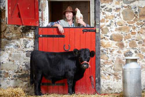 Archie is worlds shortest bull 