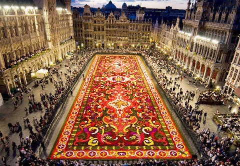 Biggest carpet of flowers in the world