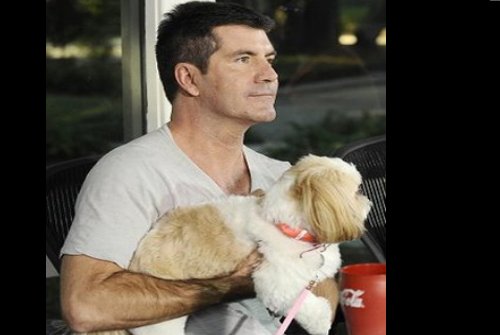 Simon Cowell to launch dog talent show