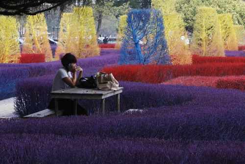 Colorful campus of Thailands Rangsit University