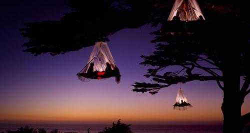 Tree Camping on the Pacific Coast